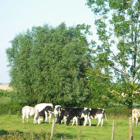 La Vallee Des Trois Monts Saint-Sylvestre-Cappel Eksteriør bilde